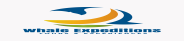 Whale Expeditions - Puerto López - Manabí­ - Ecuador